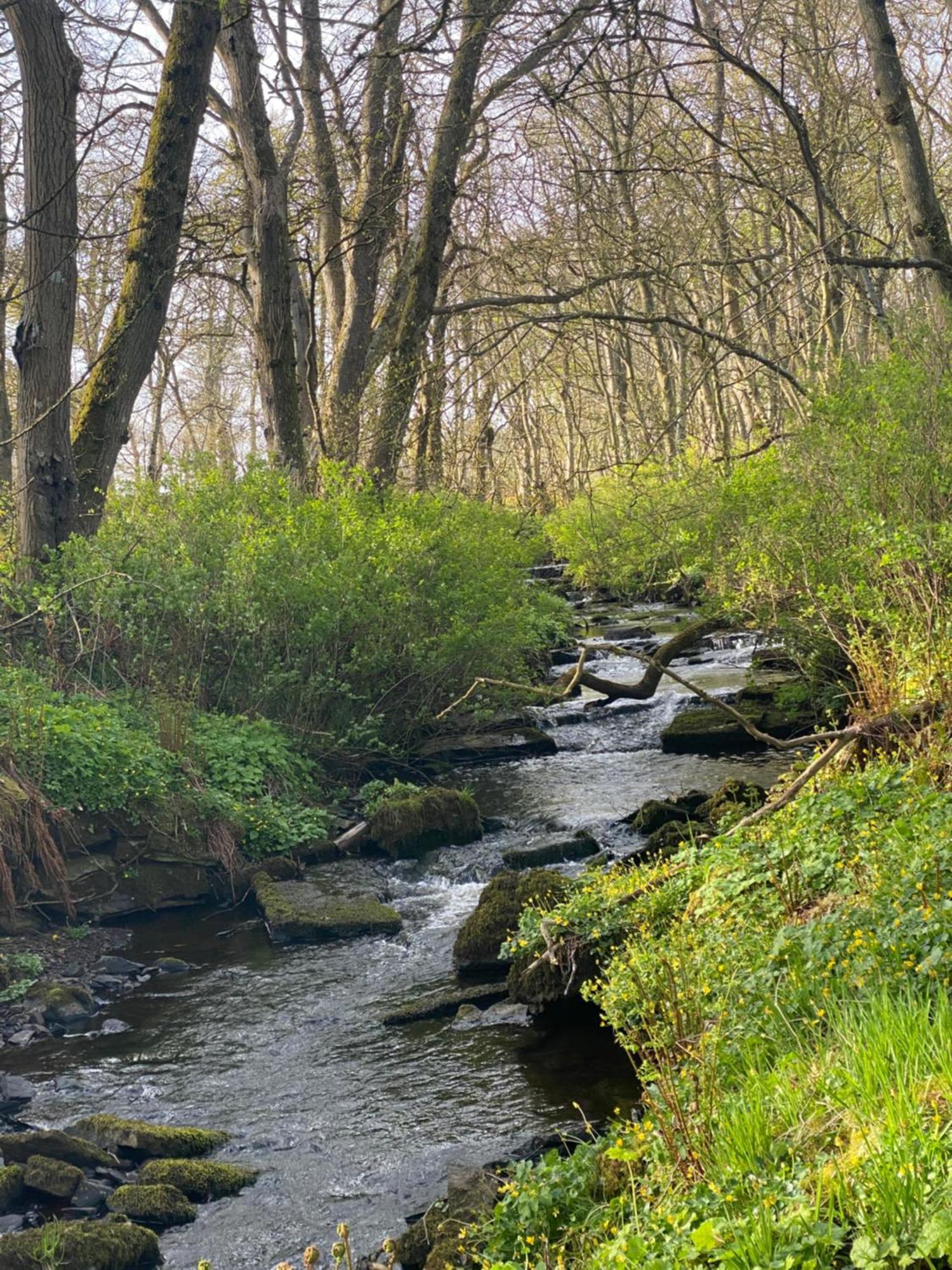 Forse Of Nature Latheron المظهر الخارجي الصورة