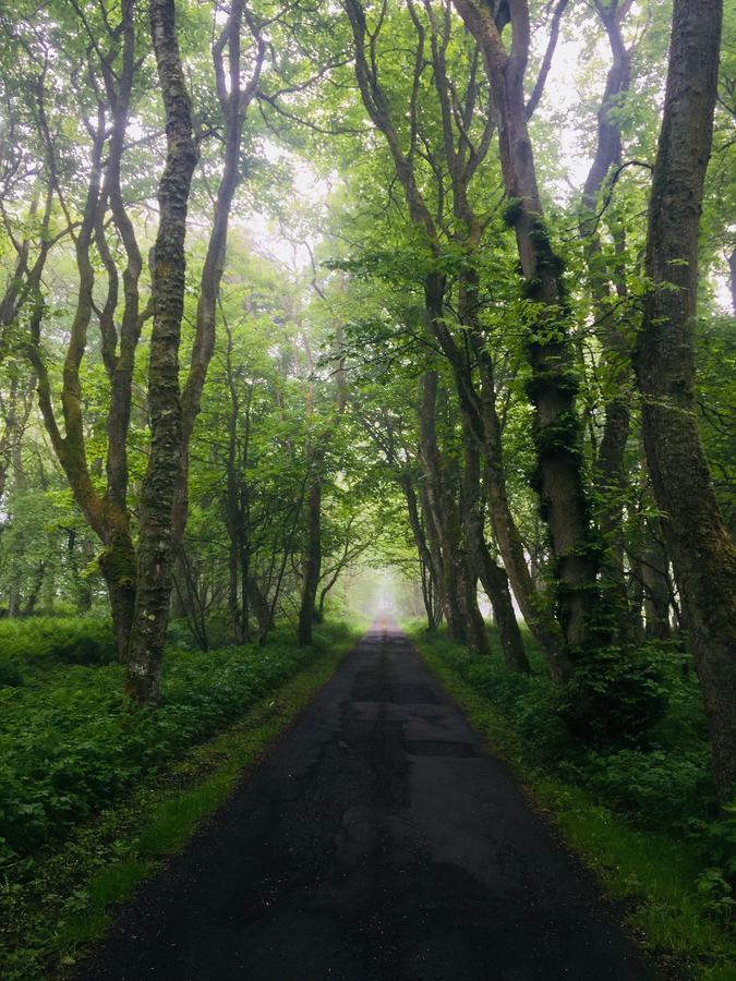 Forse Of Nature Latheron المظهر الخارجي الصورة